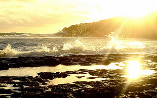 seashore near mountain under sun rays