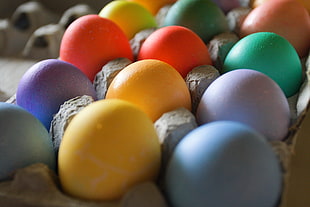 shallow focus photography of multi colored egg in tray