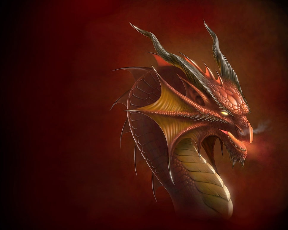 dragon character poster HD wallpaper