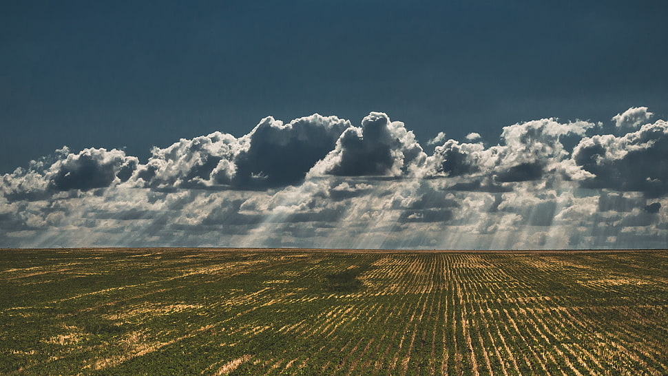 clouds above green terrain HD wallpaper