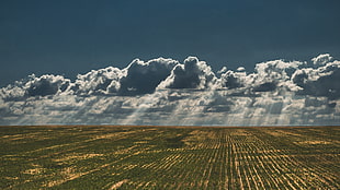 clouds above green terrain HD wallpaper
