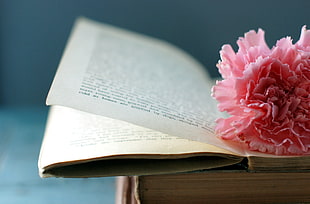 pink textile on white book