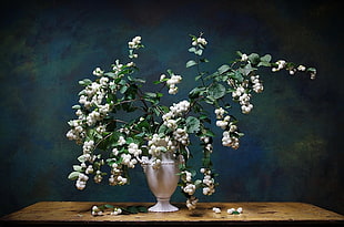 white petaled flower buds in white flower vase on brown wooden table
