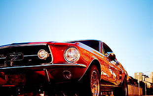 red and black car ride on toy, car, Ford USA HD wallpaper