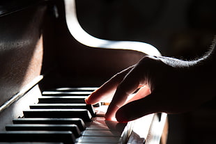 person's hand on piano HD wallpaper