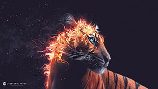 orange tiger illustration, Desktopography, animals, tiger, fire HD wallpaper