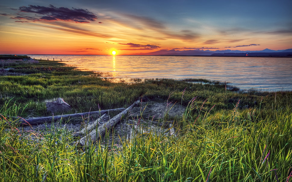 sunset during daytime HD wallpaper