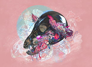 black and pink floral wreath, digital art, colorful, skull, pink flowers HD wallpaper