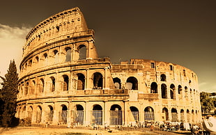 The Colosseum, Rome Italy HD wallpaper