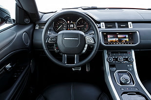black vehicle steering wheel