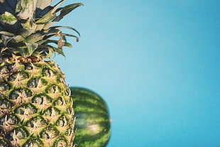 pineapple behind watermelon fruit HD wallpaper