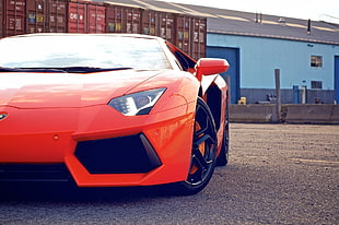red Lamborghini Aventador sports coupe on road during daytime