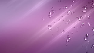 water drops, water drops HD wallpaper
