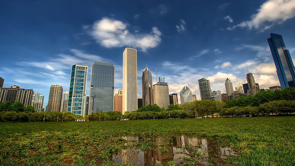 view of building during daytime HD wallpaper