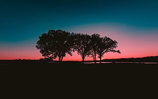 three silhouette of trees, dark, landscape, sky, trees