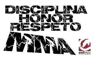 disciplina honor respeto text, mma