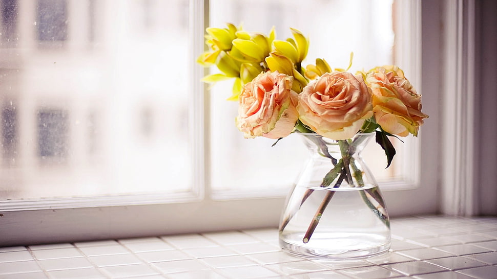 pink Roses with clear glass vase on white tile window ledge HD wallpaper
