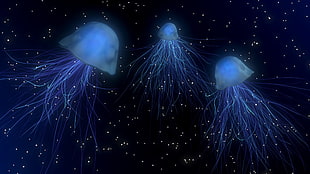 jellyfish digital artwork