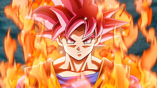 Dragon Ball Son Goku Super Saiyan God