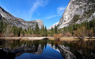 body of water with pine trees near rock formation