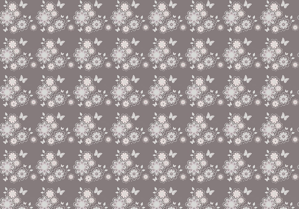 gray and white butterfly wallpaper HD wallpaper