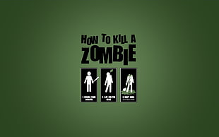 how to kill a zombie poster