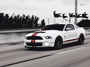 white and red coupe, car, Ford Mustang, Shelby GT500, American cars HD wallpaper