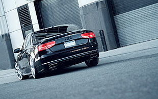 black Audi car, car, Audi, vehicle HD wallpaper