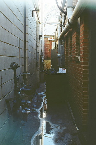black trash bin, urban, photography, street, building HD wallpaper