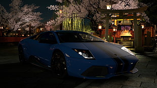 blue car, Lamborghini Murcielago HD wallpaper