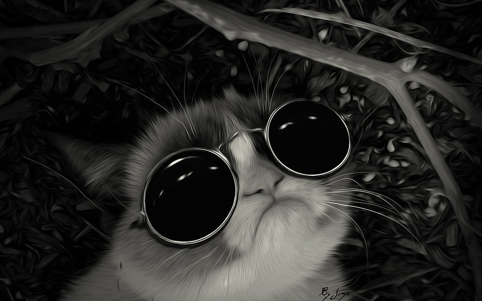 cat wearing sunglasses painting, Grumpy Cat HD wallpaper