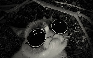 cat wearing sunglasses painting, Grumpy Cat