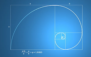 mathematical equation illustration, science, pattern, golden ratio, mathematics HD wallpaper