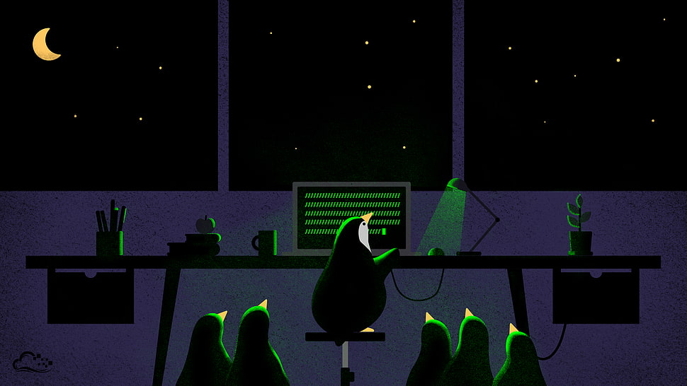 illustration of penguin using laptop, digitalocean, penguins, night, computer HD wallpaper