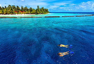 two woman swimming in body of water near island during daytime HD wallpaper