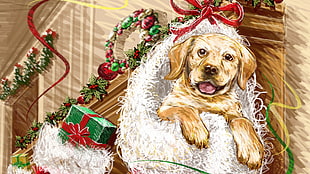 closeup photo of dog on Christmas stockings painting