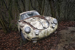 beige Volkswagen Beetle hatchback, car, wreck, Porsche HD wallpaper