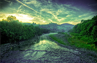 landscape view of a stream near forest HD wallpaper