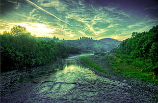 landscape view of a stream near forest