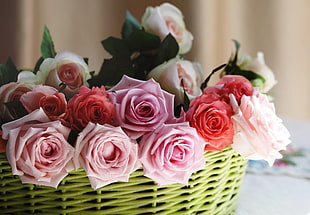 Rose flowers in wicker basket