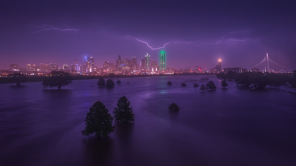 calm body of water, Dallas, Texas HD wallpaper