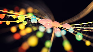 bokeh photography of water droplets