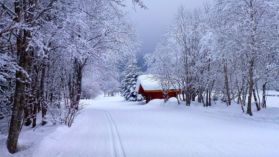 red painted house, winter HD wallpaper