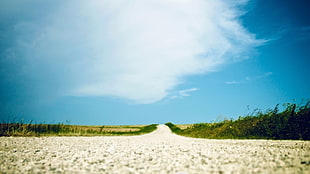 dirt road near green grass field