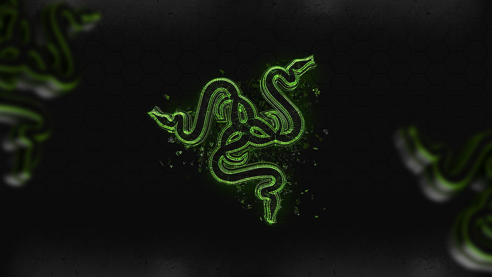 Razer logo, abstract, Razer, logo, green HD wallpaper
