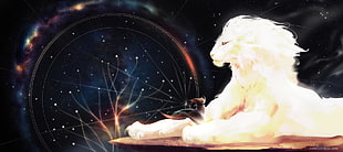mythical creature digital wallpaper, fantasy art, digital art, lion, space