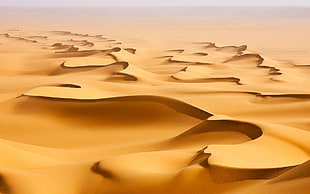 landscape photography of desert HD wallpaper