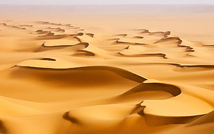 landscape photography of desert