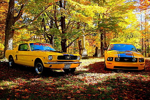yellow Mustang car, Shelby GT, Ford Mustang, car