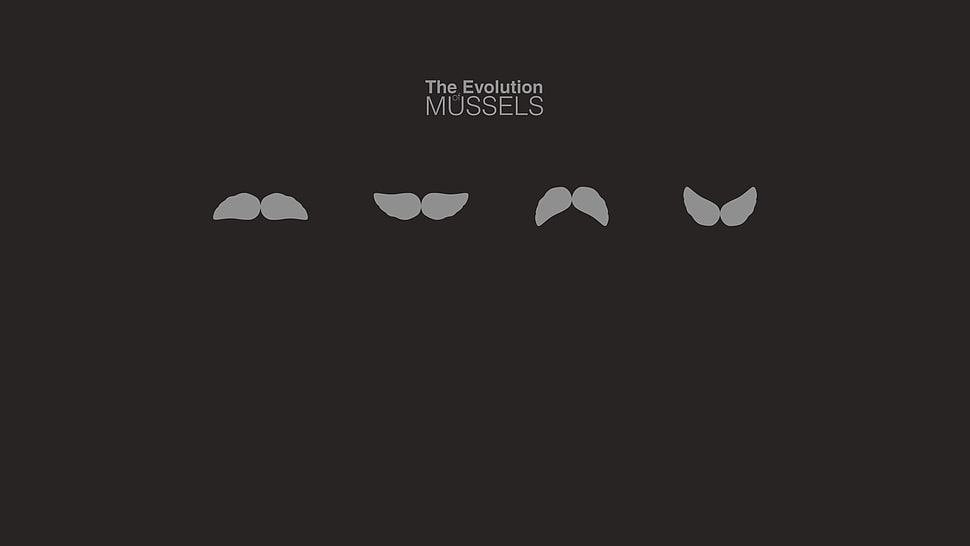 The Evolution Mussels poster HD wallpaper